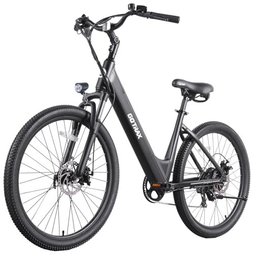 Gotrax Dolphin